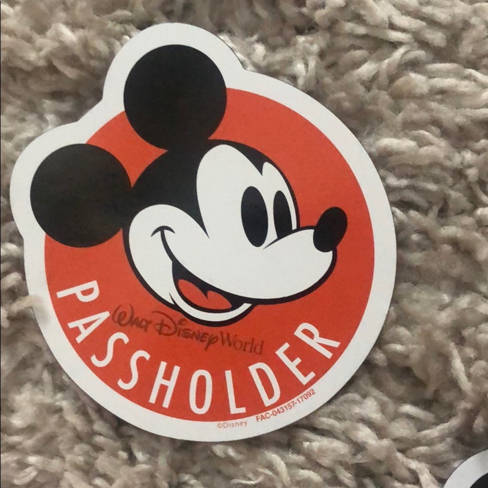 Disney AP Magnet